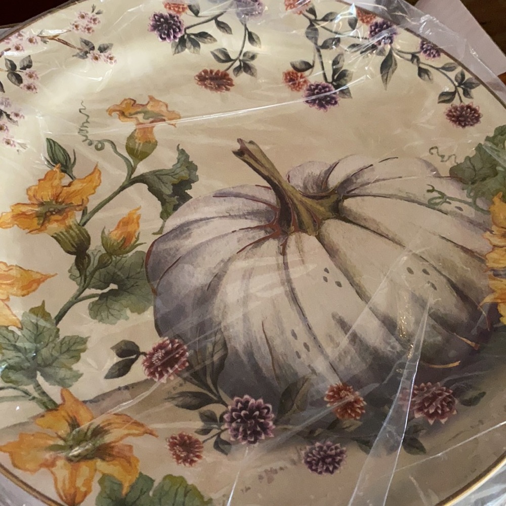 Pottery Barn Botanical Harvest Pumpkin Stoneware Dinner Plates - Set Of 4 - Picture 6 of 16